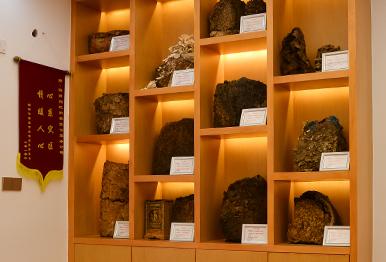 橫琴酒店消滅白蟻找哪家(都說(shuō)挺不錯,20
