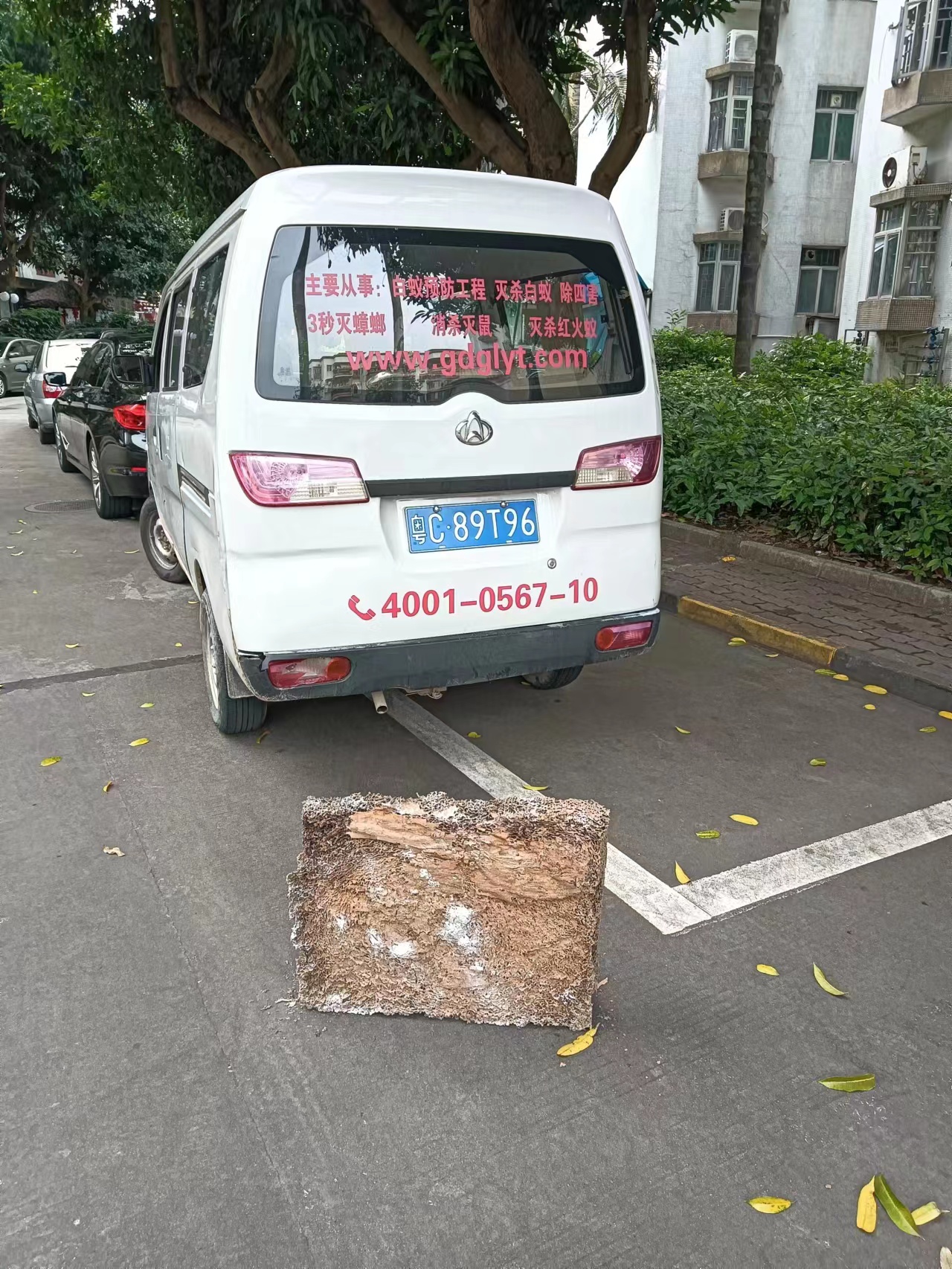 珠海白蟻防治中心推薦特效白蟻藥