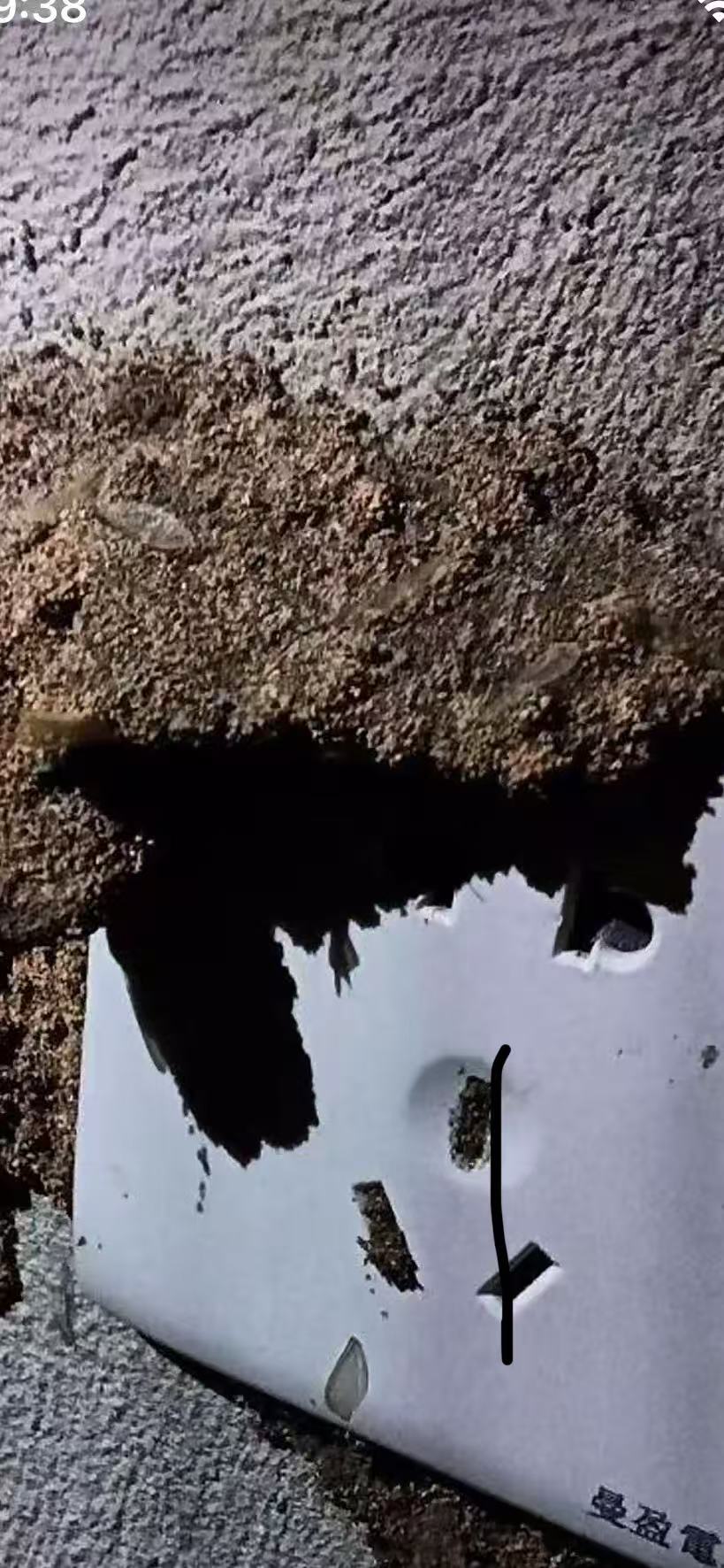 如何發(fā)現珠海自己家庭白蟻